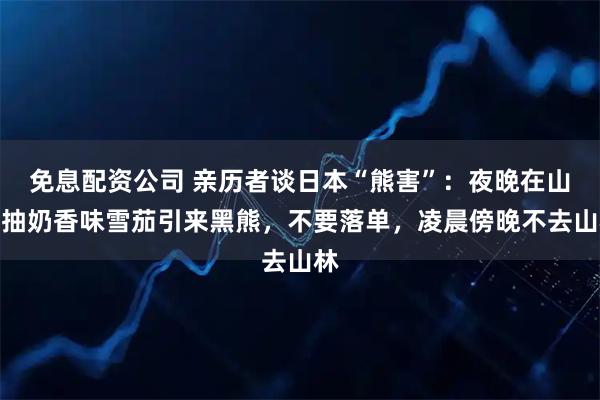 免息配资公司 亲历者谈日本“熊害”：夜晚在山区抽奶香味雪茄引来黑熊，不要落单，凌晨傍晚不去山林